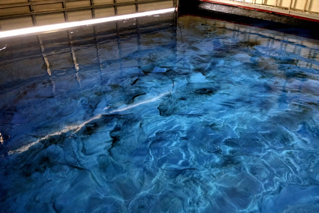 Stained Concrete Flooring